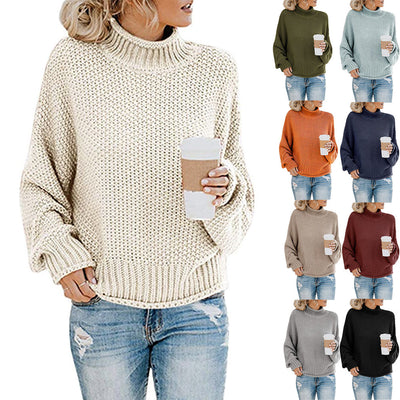 Loose Knit Pullover Sweater
